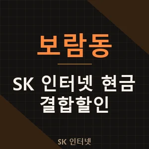 보람동 SK 인터넷 현금 지원 결합 할인 가격 추천 - 세종