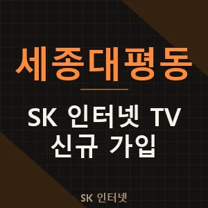 세종대평동 SK 와이파이 블루투스 인터넷 TV 신규 가입 신청
