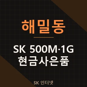 해밀동 SK 500메가 1기가 인터넷 결합할인 현금사은품 - 세종