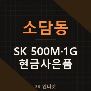 소담동 SK 500메가 1기가 인터넷 결합할인 현금사은품 - 세종
